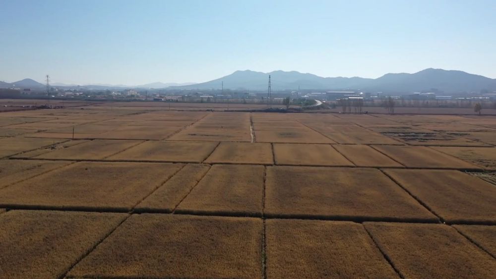 3.3 6.jpeg 3.3 6.jpeg