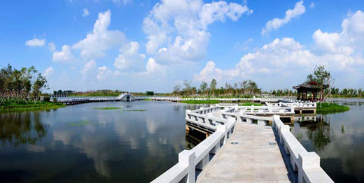 Beihu Wetland Park.jpeg