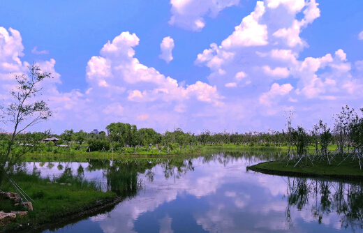 Beihu Wetland Park 1.jpg